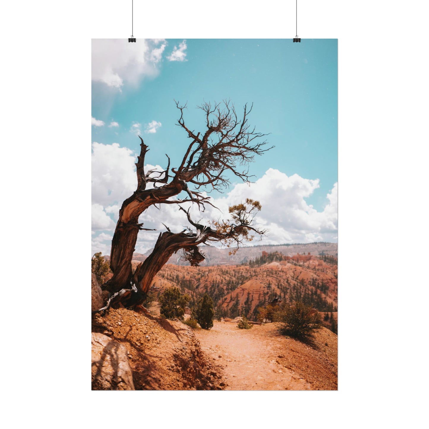 Bryce Canyon 02 - Rolled Poster