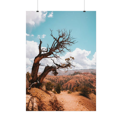 Bryce Canyon 02 - Rolled Poster