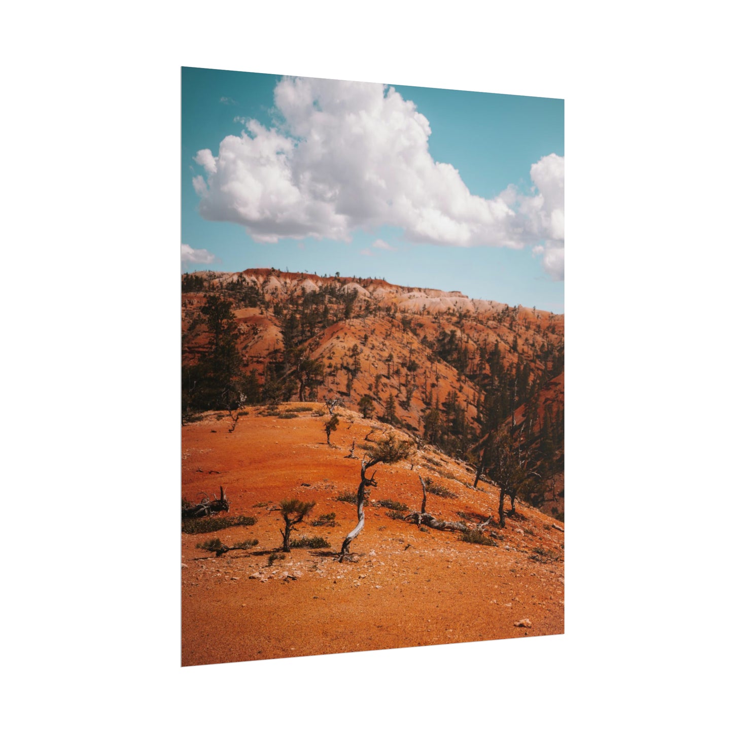 Bryce Canyon 01 - Rolled Poster