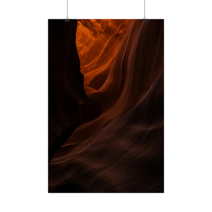 Antelope 03 - Rolled Poster