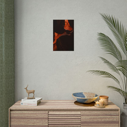 Antelope 08 - Rolled Poster