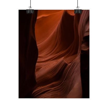 Antelope 01 - Rolled Poster