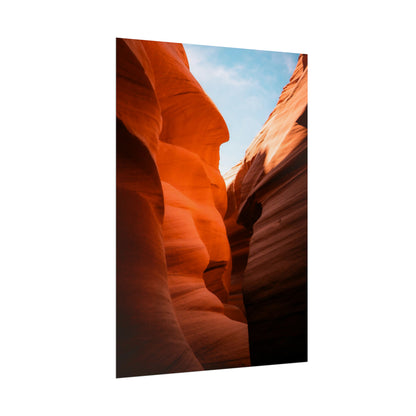 Antelope 06 - Rolled Poster