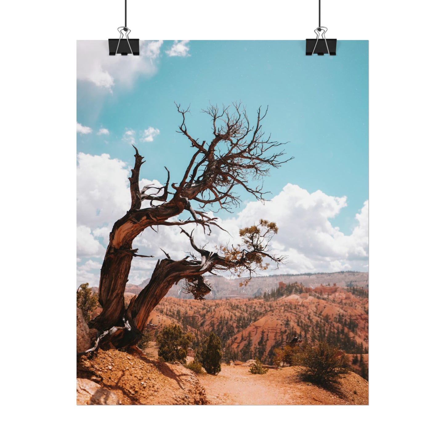 Bryce Canyon 02 - Rolled Poster