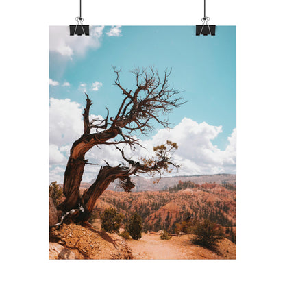 Bryce Canyon 02 - Rolled Poster