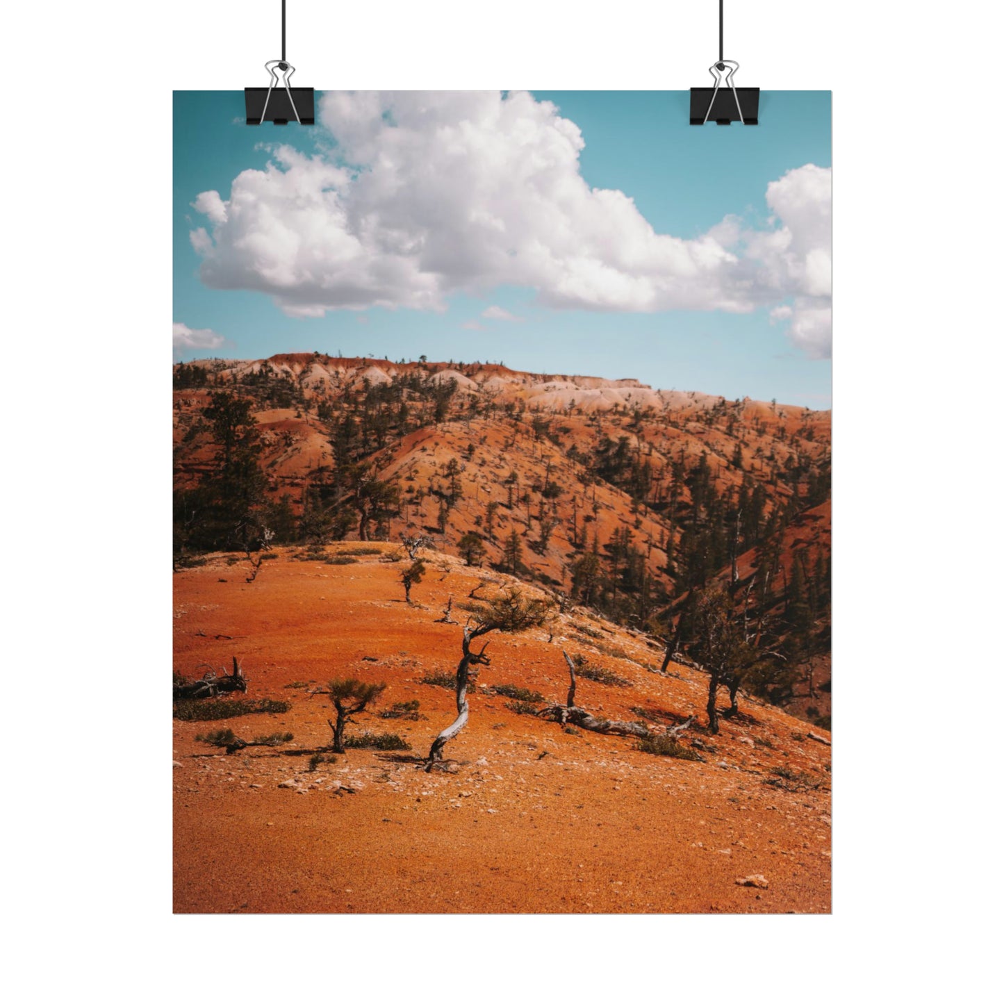 Bryce Canyon 01 - Rolled Poster