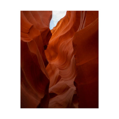 Antelope 07 - Rolled Poster