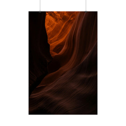 Antelope 03 - Rolled Poster