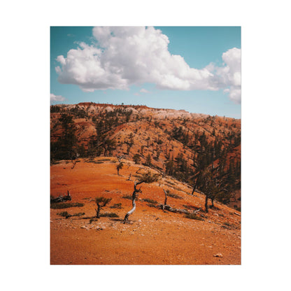 Bryce Canyon 01 - Rolled Poster