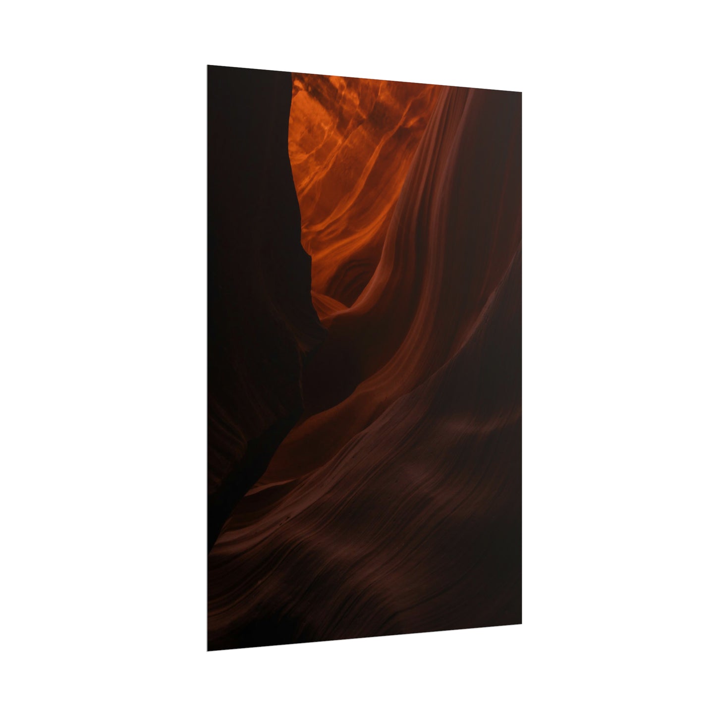 Antelope 03 - Rolled Poster
