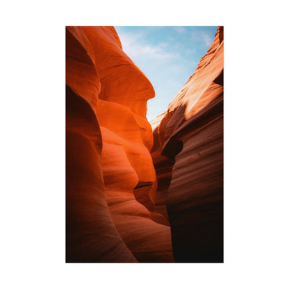 Antelope 06 - Rolled Poster