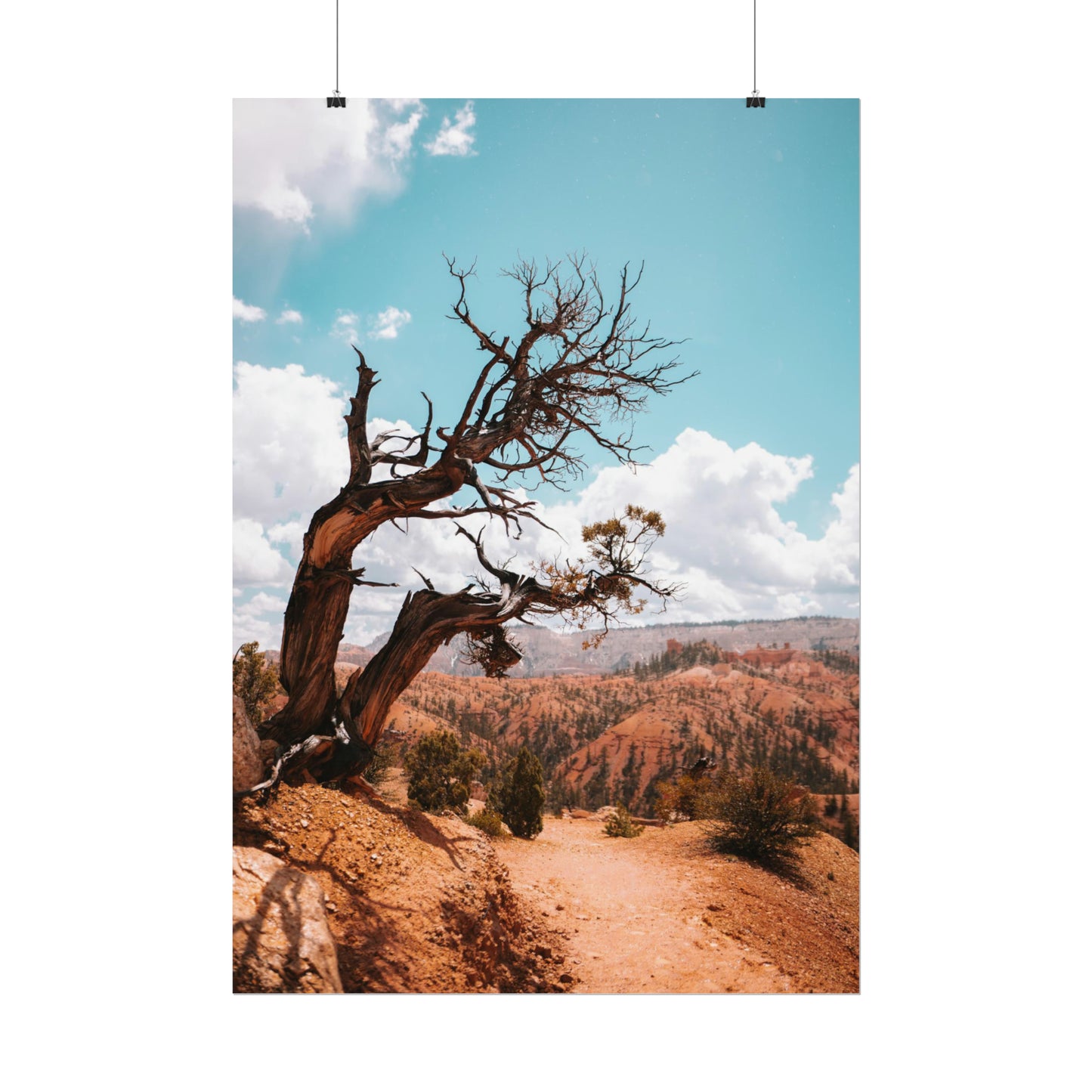 Bryce Canyon 02 - Rolled Poster