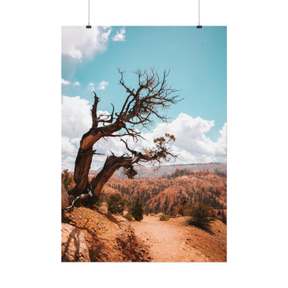 Bryce Canyon 02 - Rolled Poster