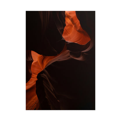 Antelope 08 - Rolled Poster
