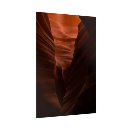 Antelope 02 - Rolled Poster