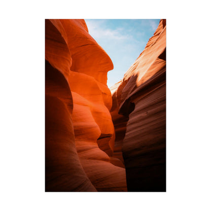 Antelope 06 - Rolled Poster