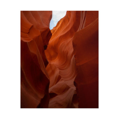 Antelope 07 - Rolled Poster