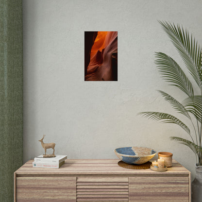Antelope 04 - Rolled Poster