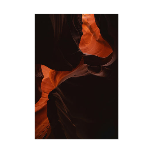 Antelope 08 - Rolled Poster