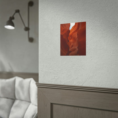 Antelope 07 - Rolled Poster