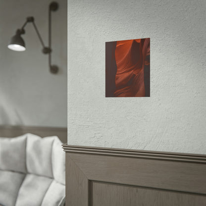 Antelope 01 - Rolled Poster