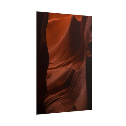 Antelope 01 - Rolled Poster