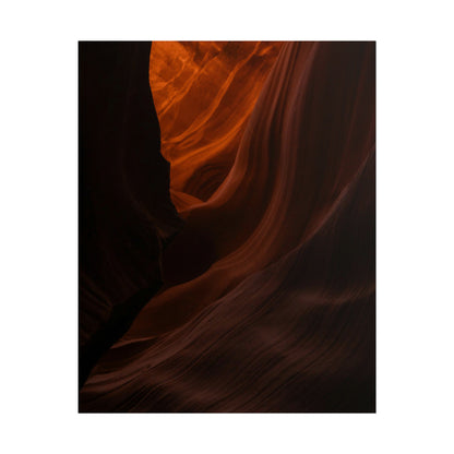 Antelope 03 - Rolled Poster