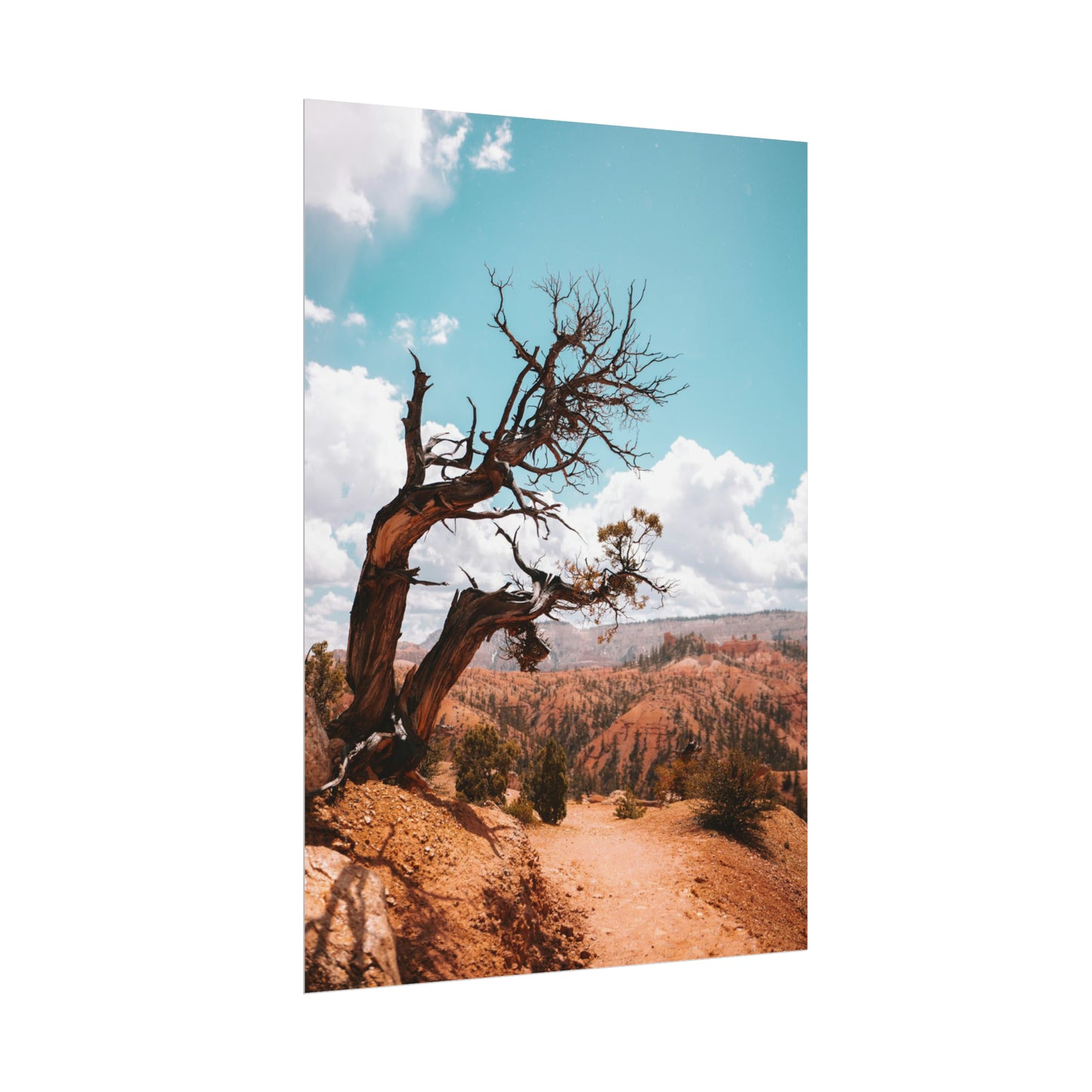 Bryce Canyon 02 - Rolled Poster