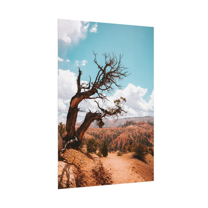 Bryce Canyon 02 - Rolled Poster