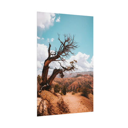 Bryce Canyon 02 - Rolled Poster