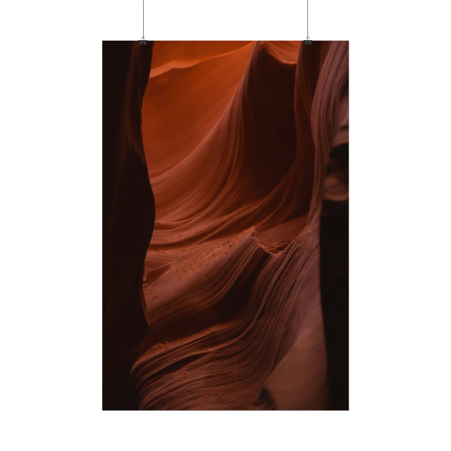 Antelope 01 - Rolled Poster