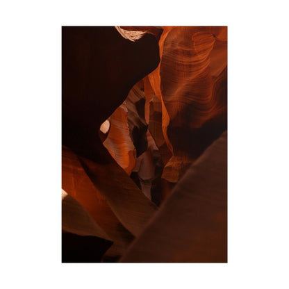 Antelope 05 - Rolled Poster