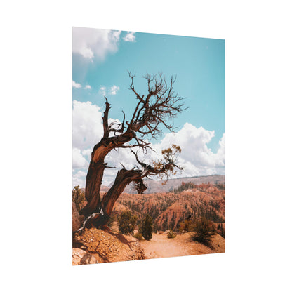 Bryce Canyon 02 - Rolled Poster