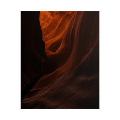 Antelope 03 - Rolled Poster