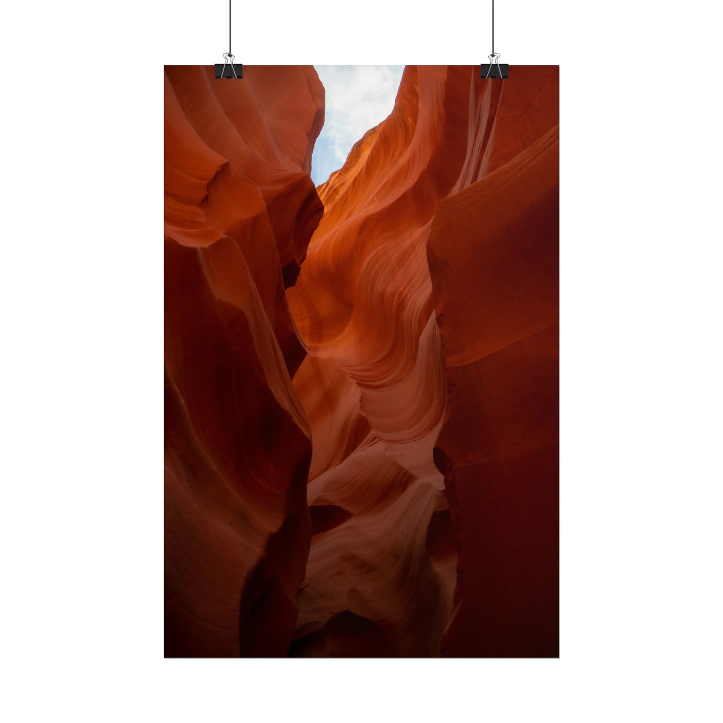 Antelope 07 - Rolled Poster