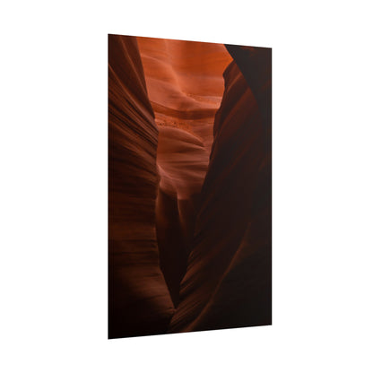 Antelope 02 - Rolled Poster