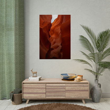Antelope 07 - Rolled Poster