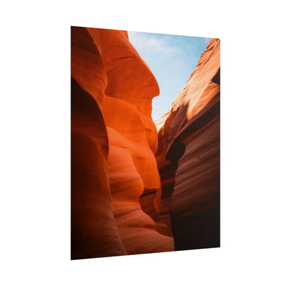 Antelope 06 - Rolled Poster