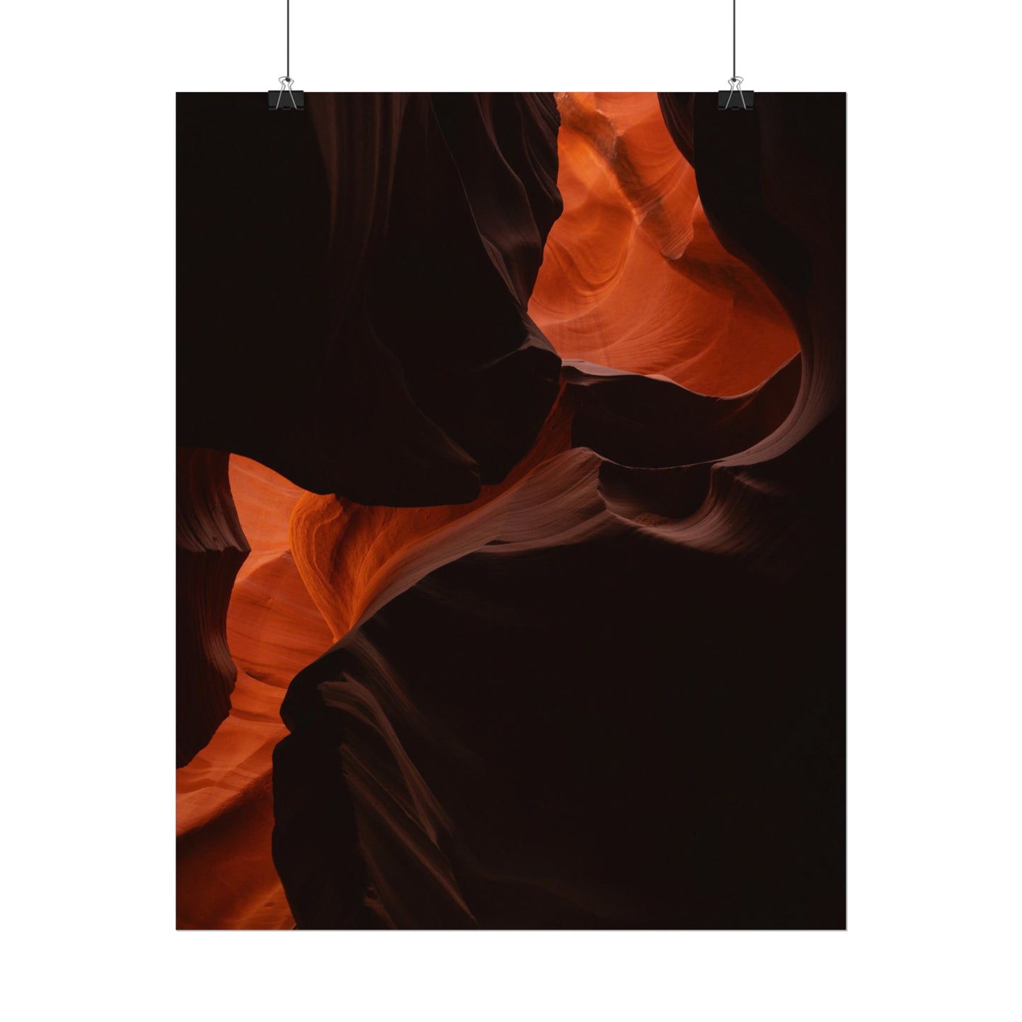 Antelope 08 - Rolled Poster