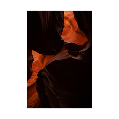 Antelope 08 - Rolled Poster