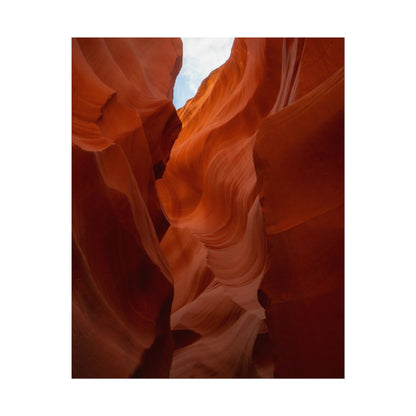 Antelope 07 - Rolled Poster