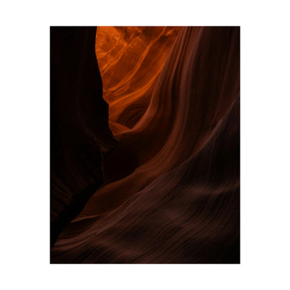 Antelope 03 - Rolled Poster