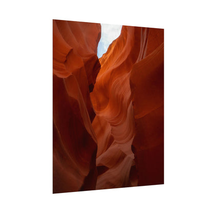 Antelope 07 - Rolled Poster