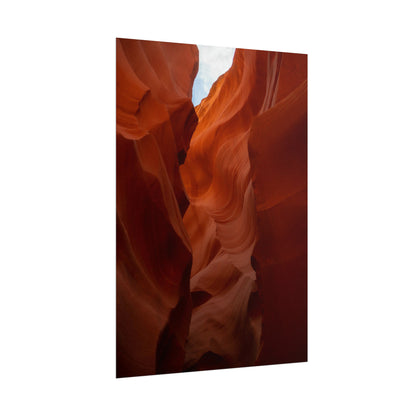 Antelope 07 - Rolled Poster