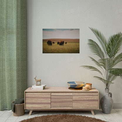 Bisons - Rolled Poster