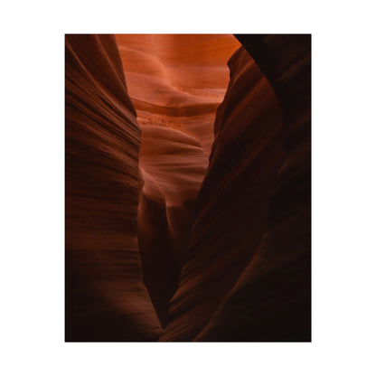 Antelope 02 - Rolled Poster