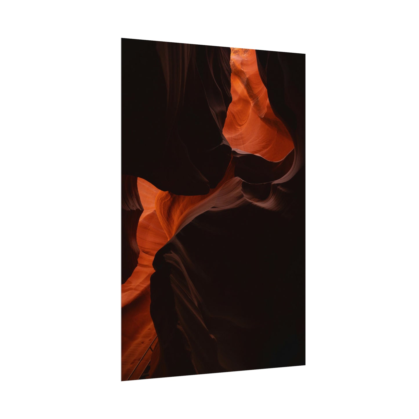 Antelope 08 - Rolled Poster