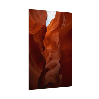 Antelope 07 - Rolled Poster