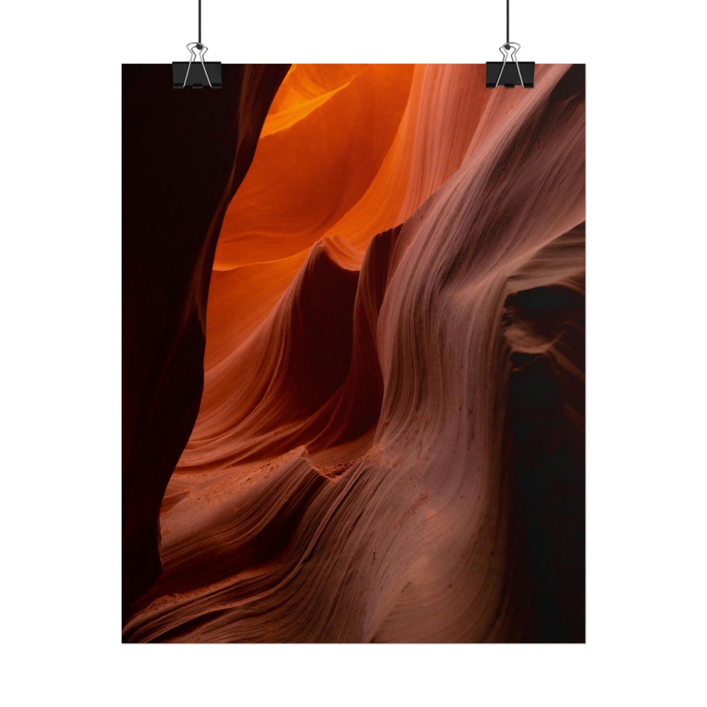Antelope 04 - Rolled Poster