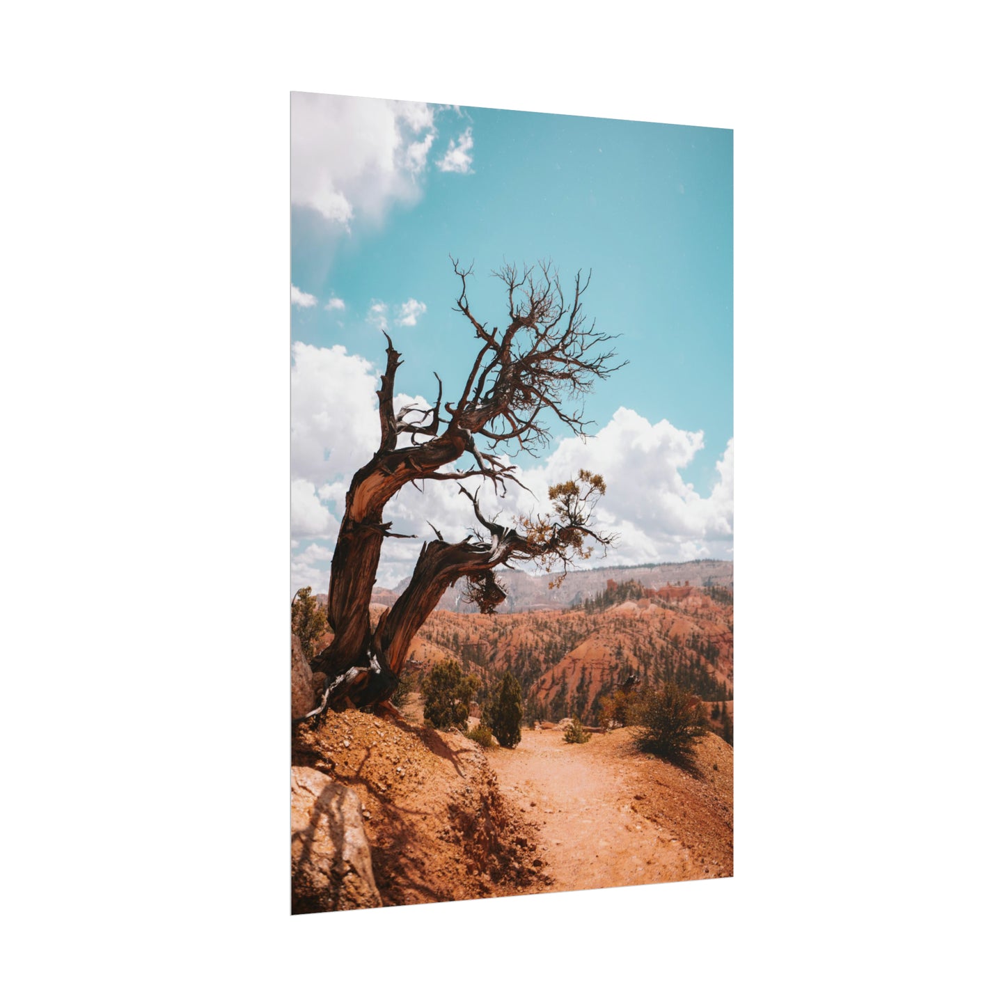 Bryce Canyon 02 - Rolled Poster